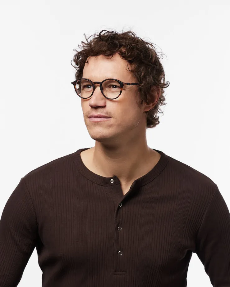 reading-d-tortoise (1).webp